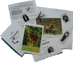 Contenu du jeu de piste empreintes d'animaux